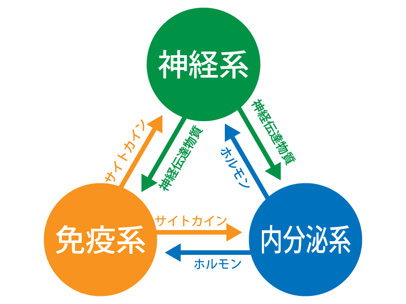 首の痛み　東浦和