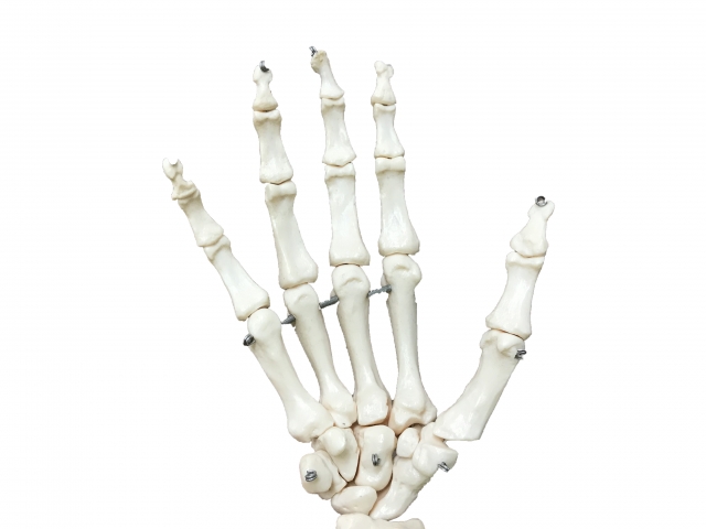 さいたま市　突き指　整骨院