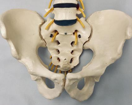 骨盤剥離骨折　早期回復治療　おすすめ